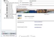 SES CDEGS v20.0_工软速递