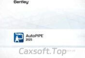 Bentley AutoPIPE 2025 25.00.01.213_工软速递