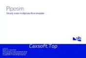 Schlumberger PIPESIM 2026.2.443_工软速递