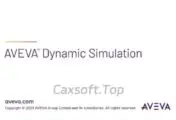 AVEVA Dynamic Simulation 2026_工软速递